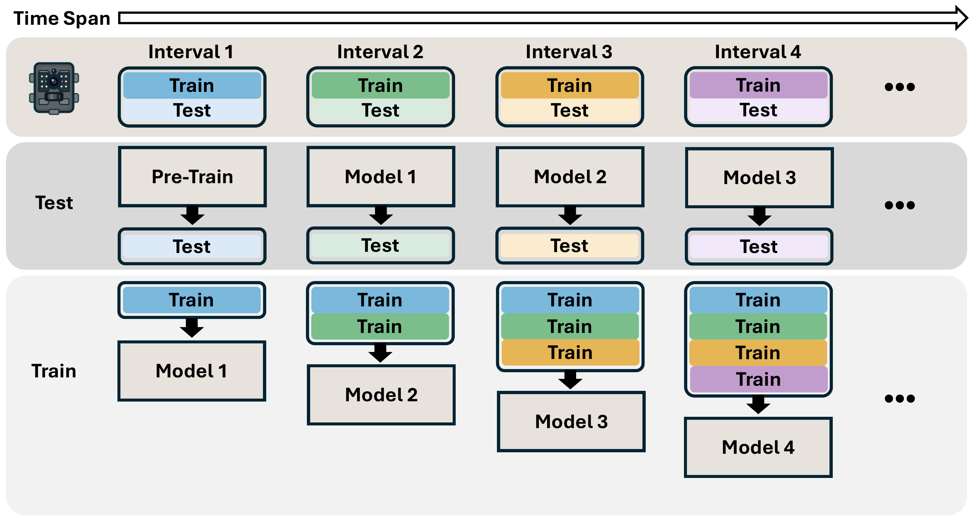 Training and testing protocol across sequential camera-trap intervals